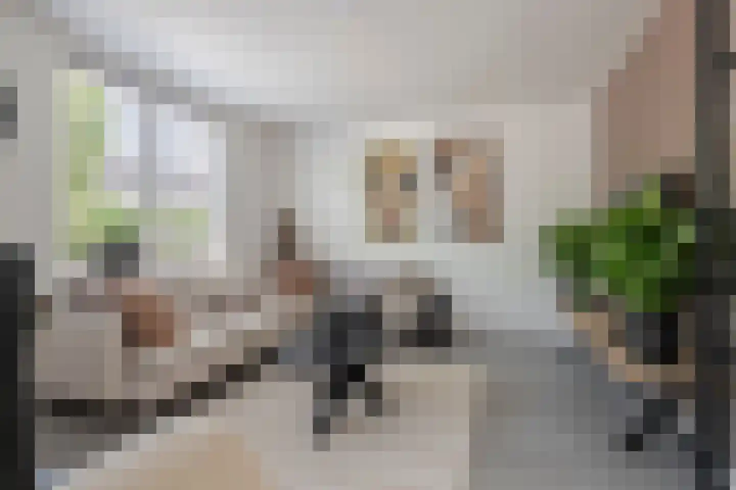 De Ruiten 4 Rutten thumbnail 13
