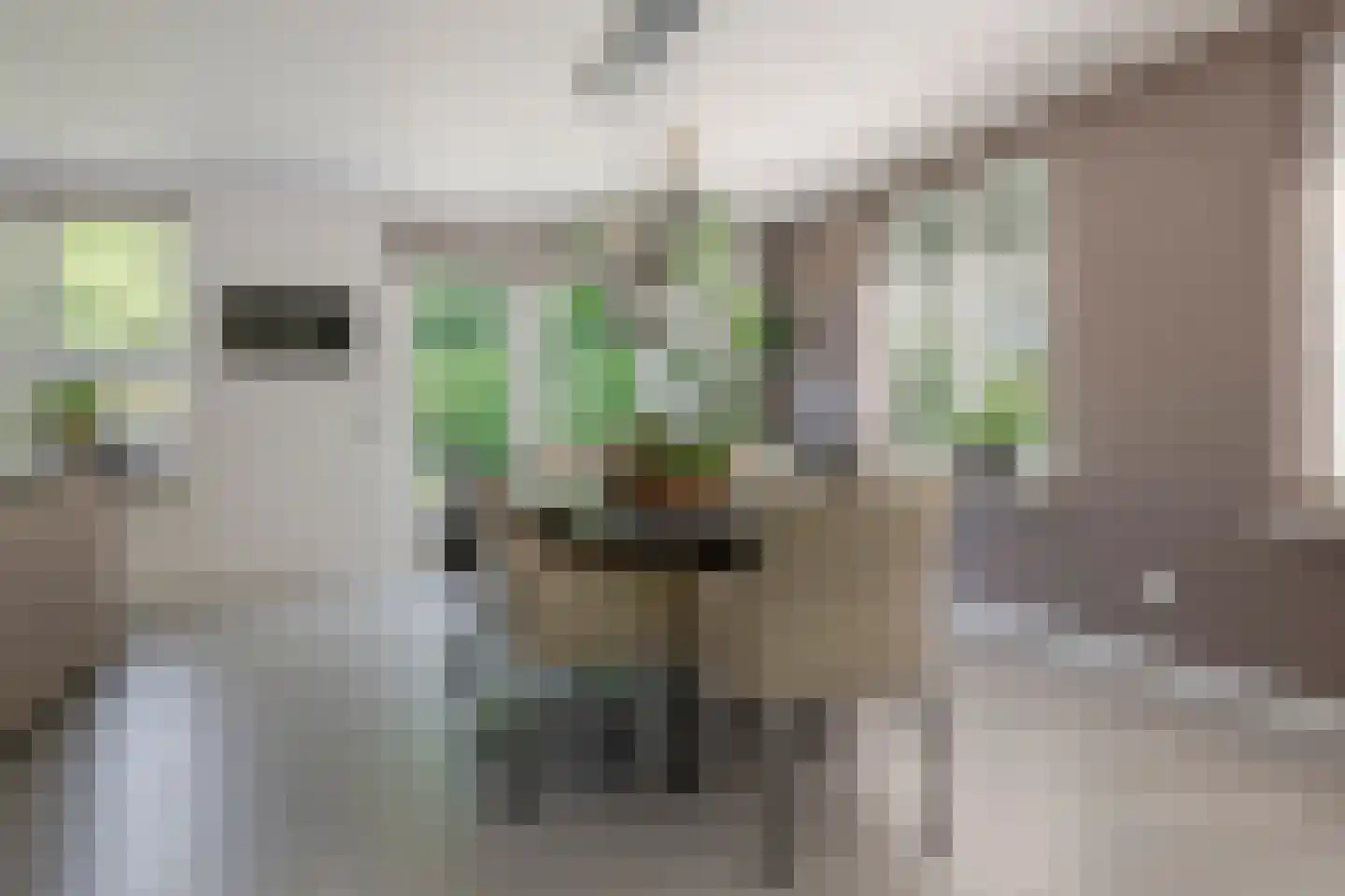 De Ruiten 4 Rutten thumbnail 15