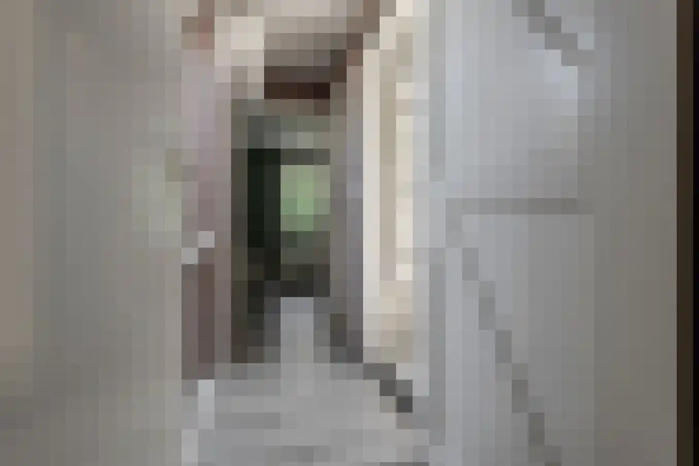 De Ruiten 4 Rutten thumbnail 26