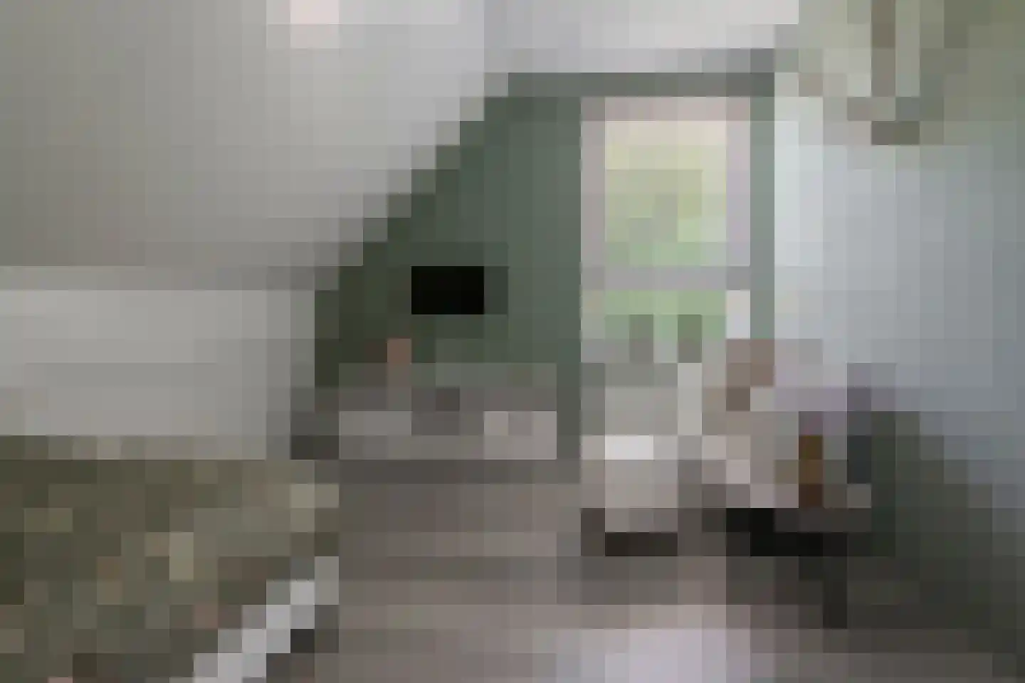 De Ruiten 4 Rutten thumbnail 27