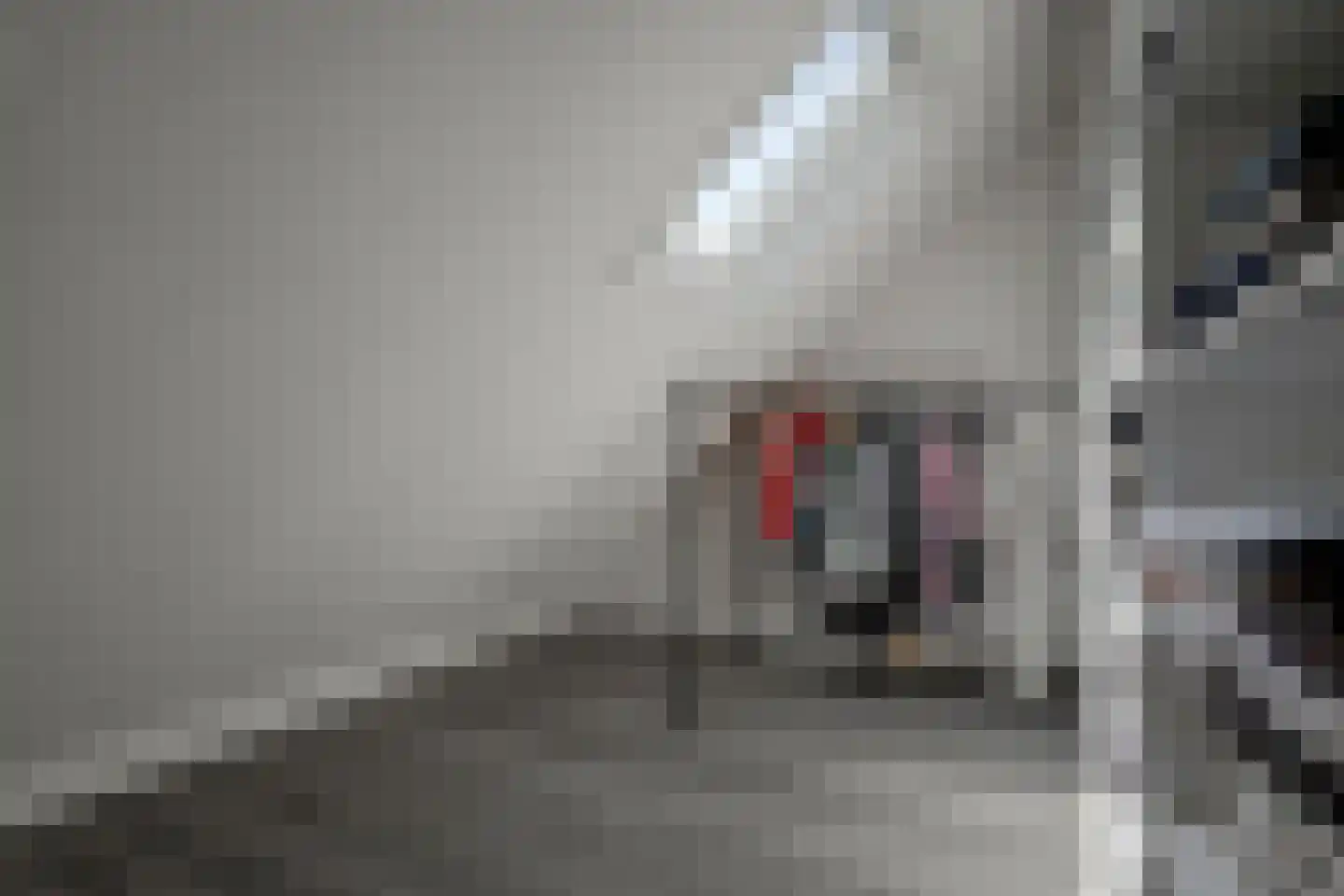 De Ruiten 4 Rutten thumbnail 32