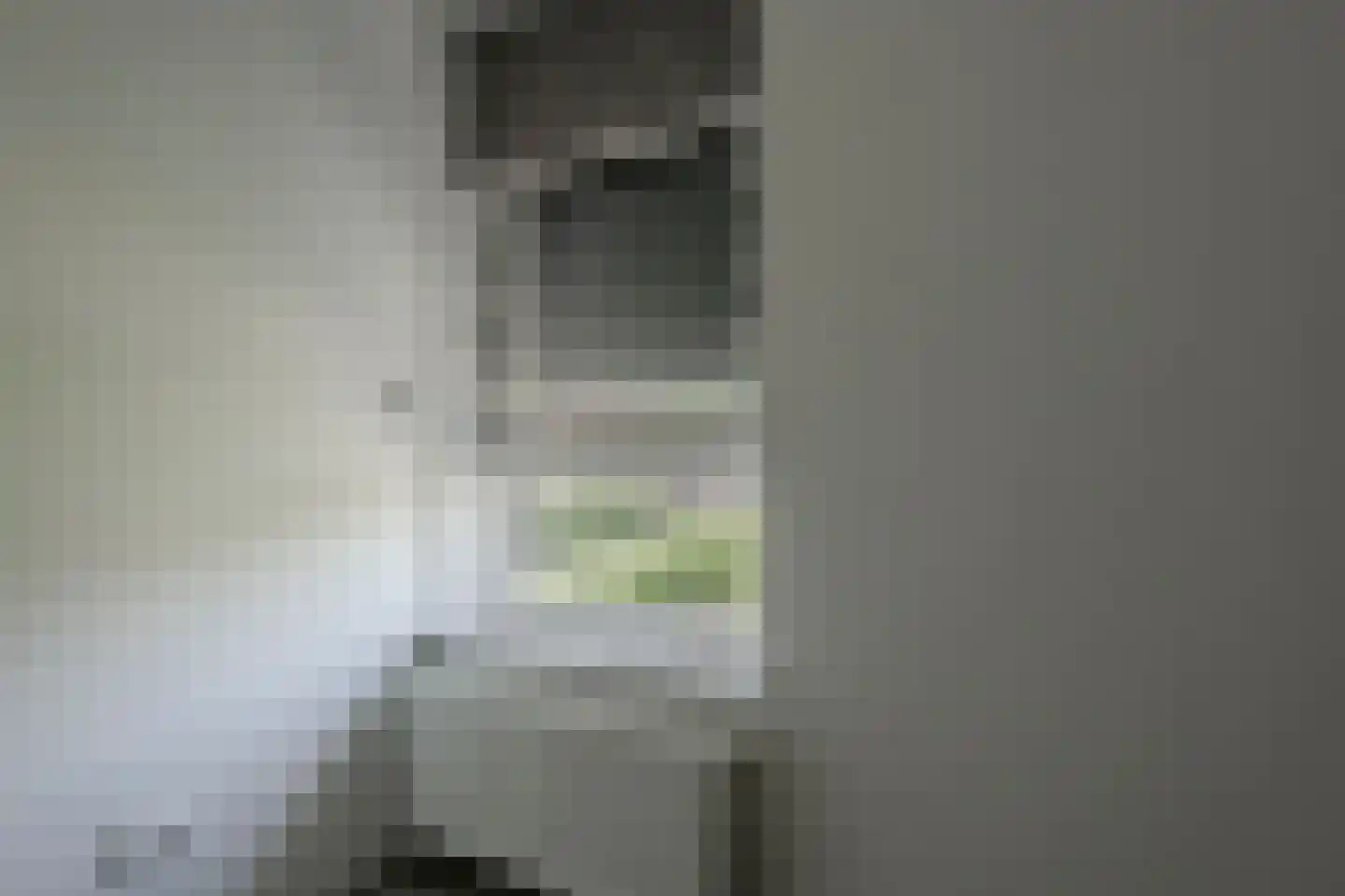 De Ruiten 4 Rutten thumbnail 34