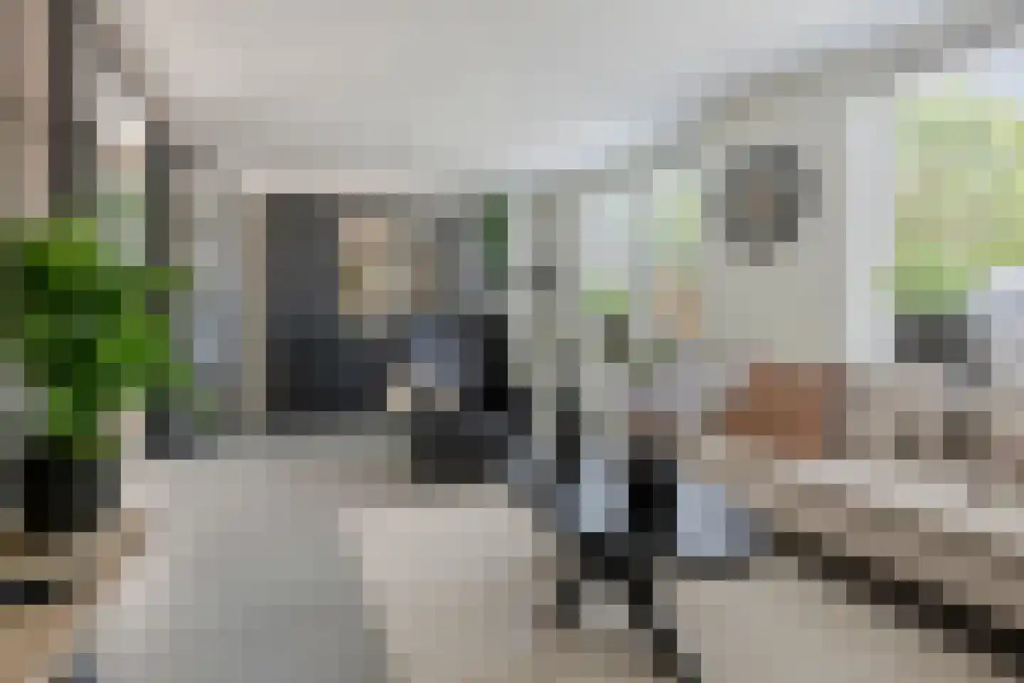 De Ruiten 4 Rutten thumbnail 4