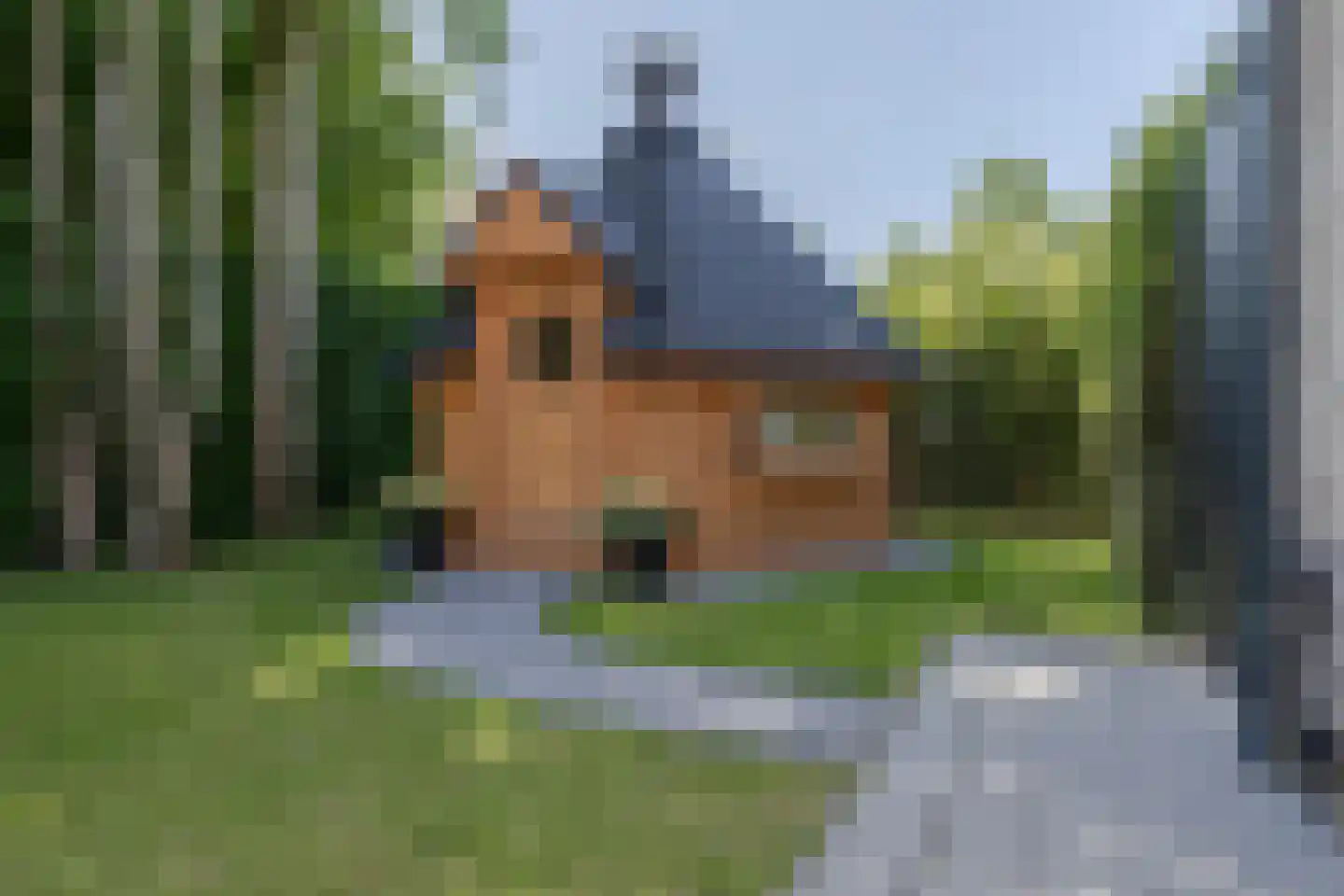 De Ruiten 4 Rutten thumbnail 46