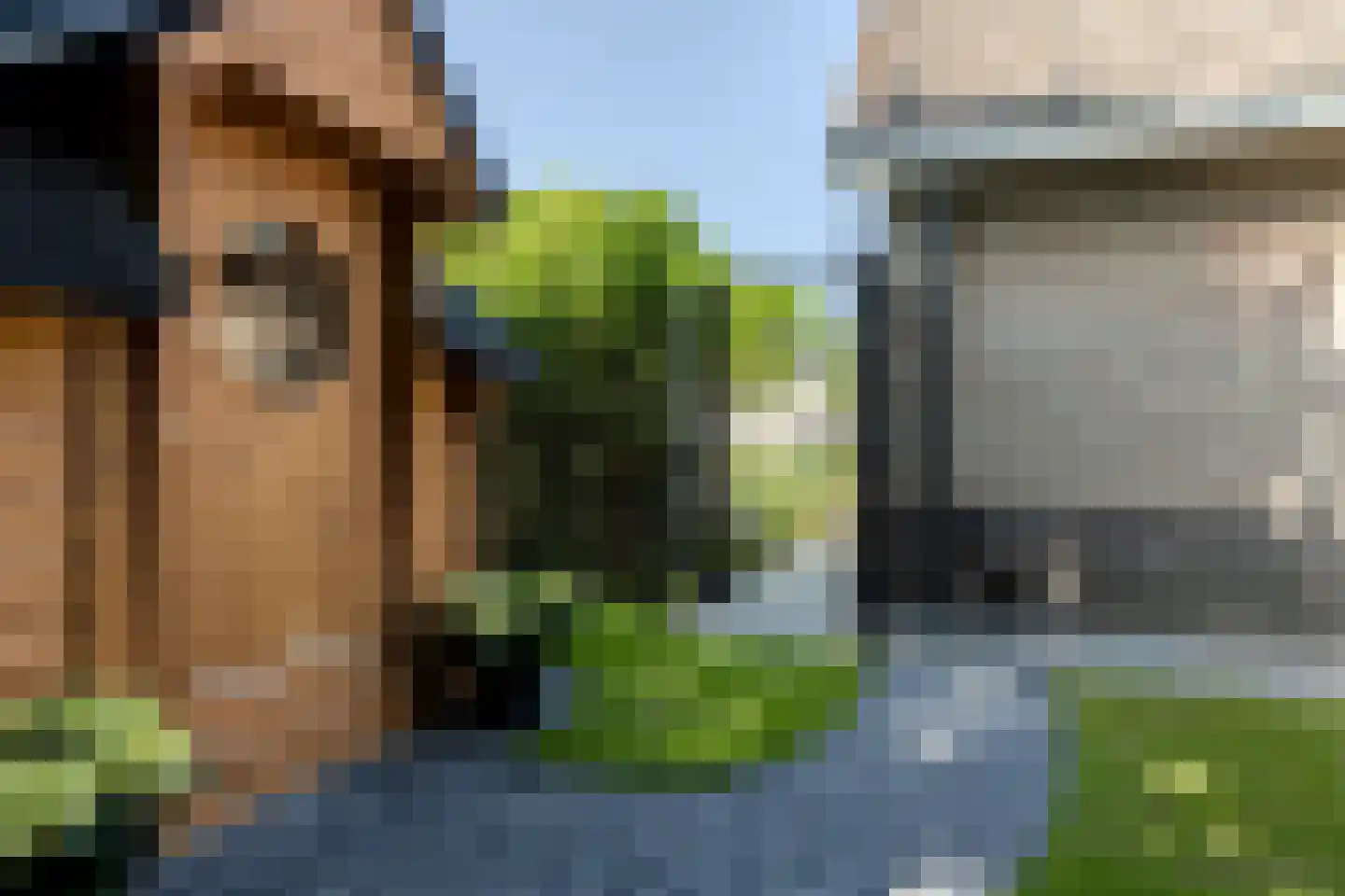 De Ruiten 4 Rutten thumbnail 48