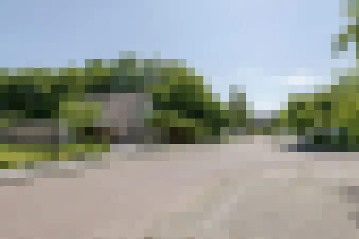 De Ruiten 4 Rutten thumbnail 49
