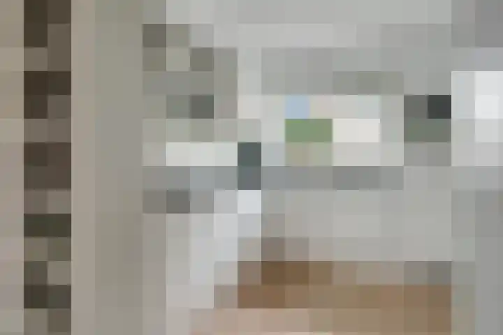 De Ruiter 10 Almelo thumbnail 12