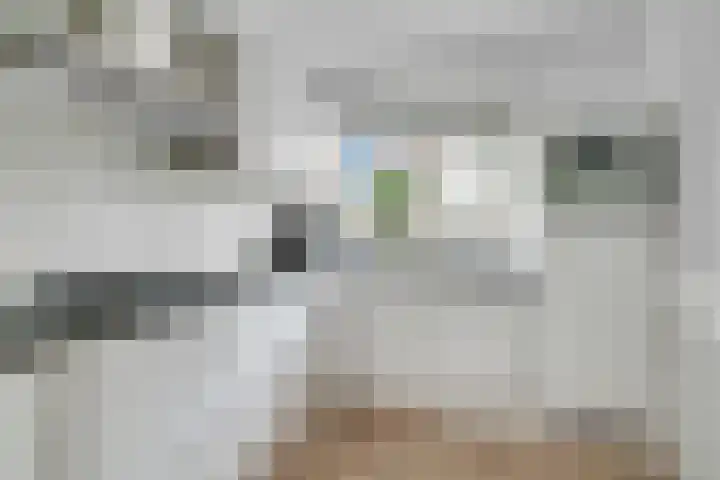 De Ruiter 10 Almelo thumbnail 13
