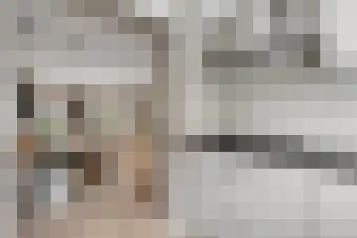 De Ruiter 10 Almelo thumbnail 15