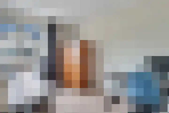 De Ruiter 10 Almelo thumbnail 17