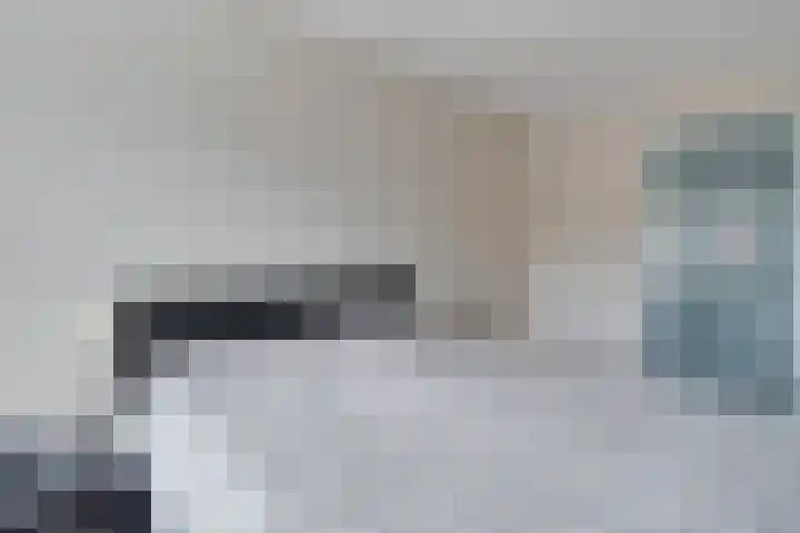 De Ruiter 10 Almelo thumbnail 20