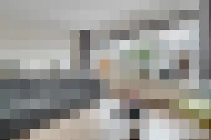 De Ruiter 10 Almelo thumbnail 7