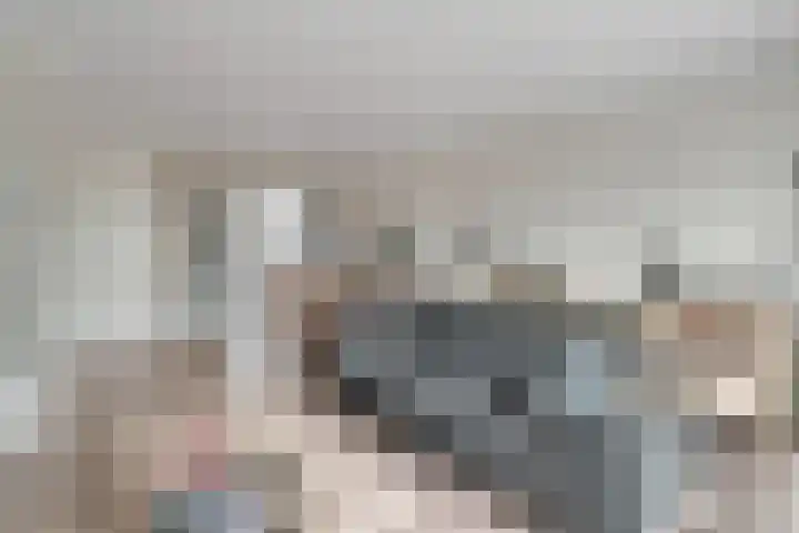 De Ruiter 10 Almelo thumbnail 8