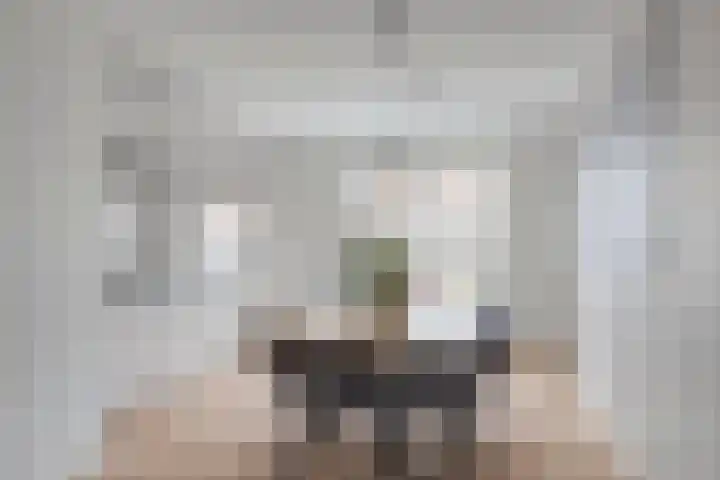 De Ruiter 11 Dronten thumbnail 15