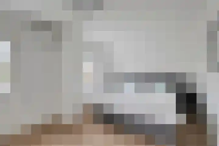 De Ruiter 11 Dronten thumbnail 26