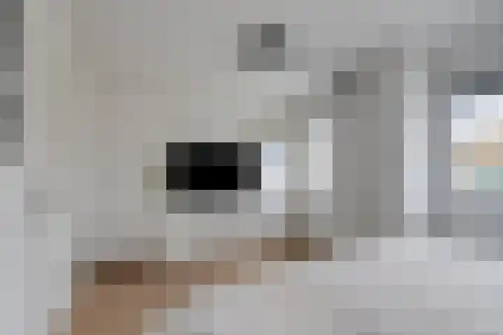 De Ruiter 11 Dronten thumbnail 27