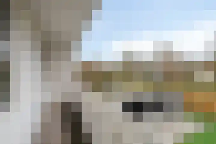 De Ruiter 11 Dronten thumbnail 28