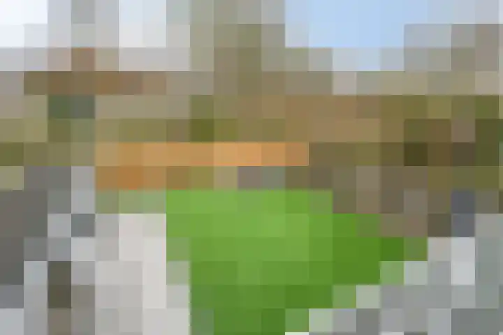 De Ruiter 11 Dronten thumbnail 29