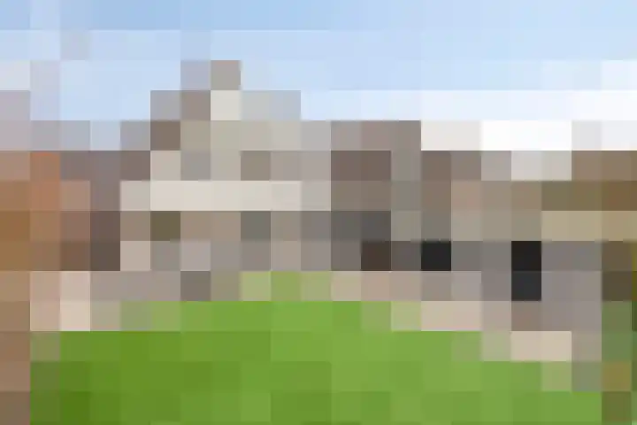 De Ruiter 11 Dronten thumbnail 4