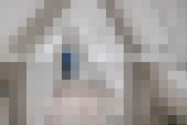 De Ruiter 11 Dronten thumbnail 42