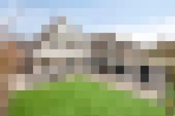 De Ruiter 11 Dronten thumbnail 45