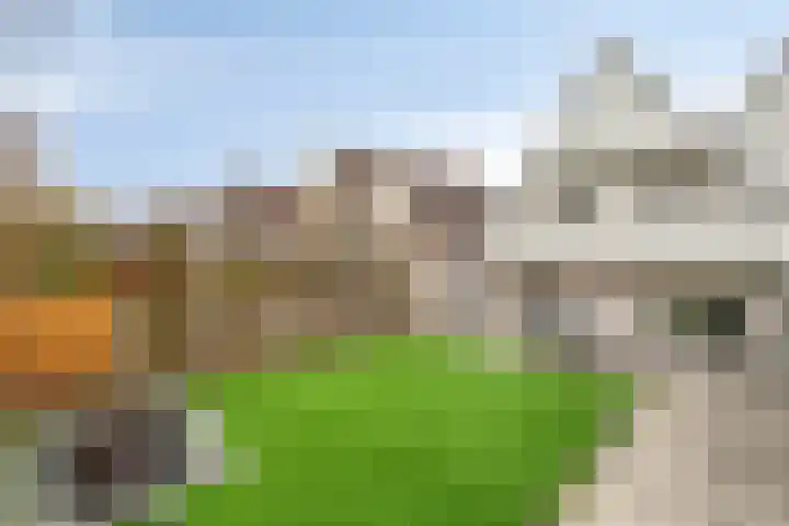 De Ruiter 11 Dronten thumbnail 46