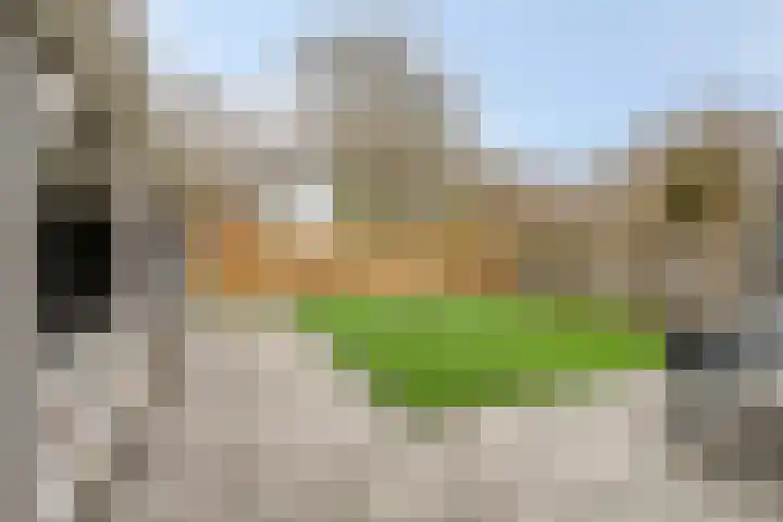 De Ruiter 11 Dronten thumbnail 47