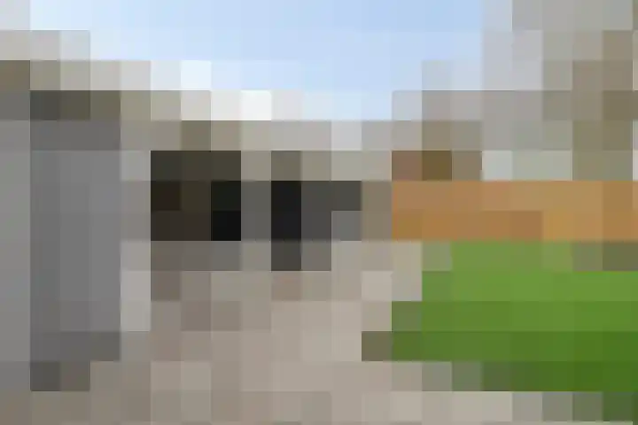 De Ruiter 11 Dronten thumbnail 48