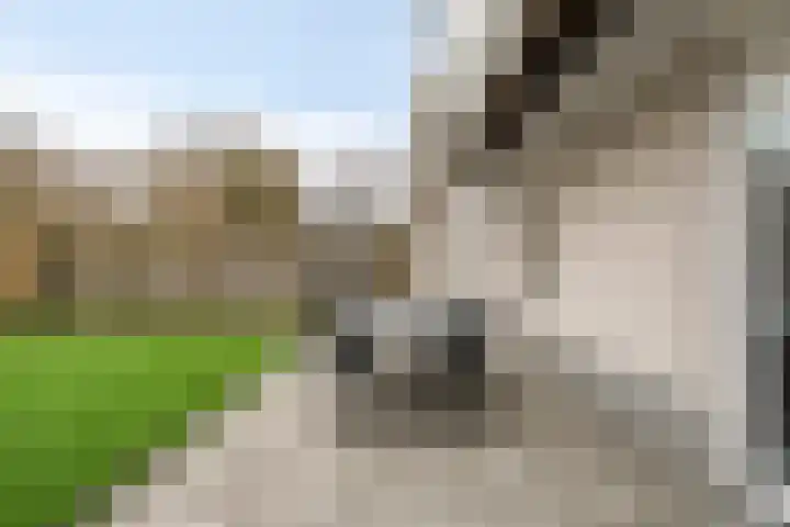 De Ruiter 11 Dronten thumbnail 49