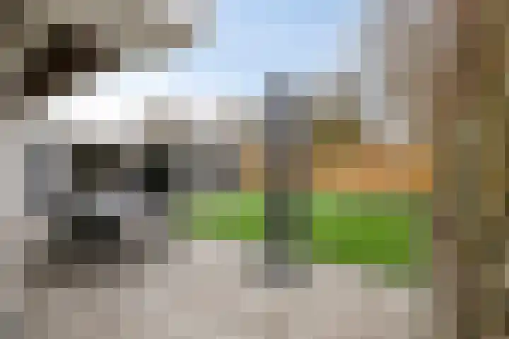 De Ruiter 11 Dronten thumbnail 50
