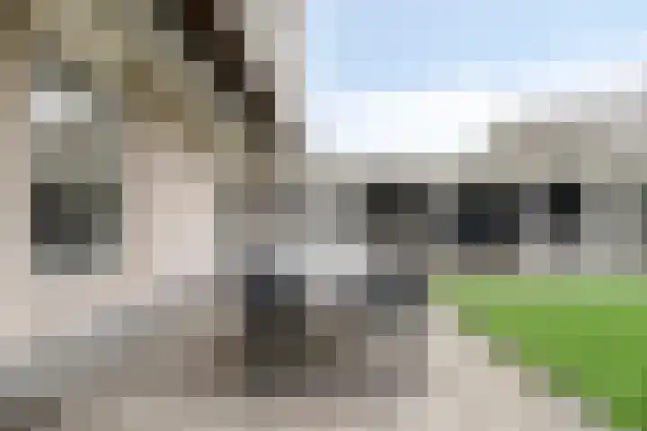 De Ruiter 11 Dronten thumbnail 51