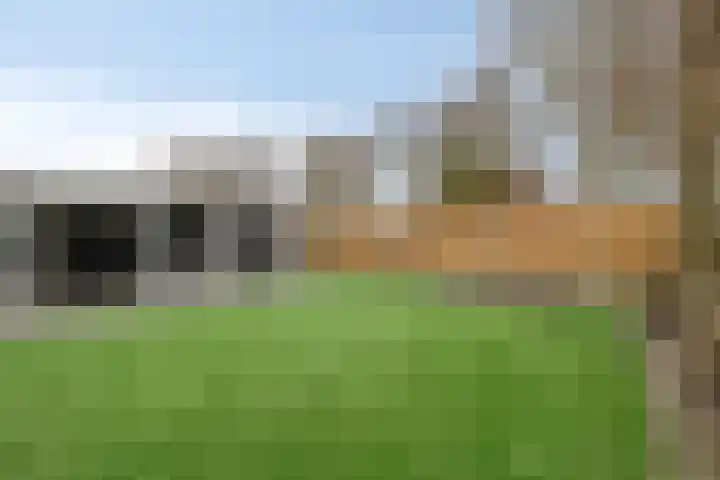 De Ruiter 11 Dronten thumbnail 52