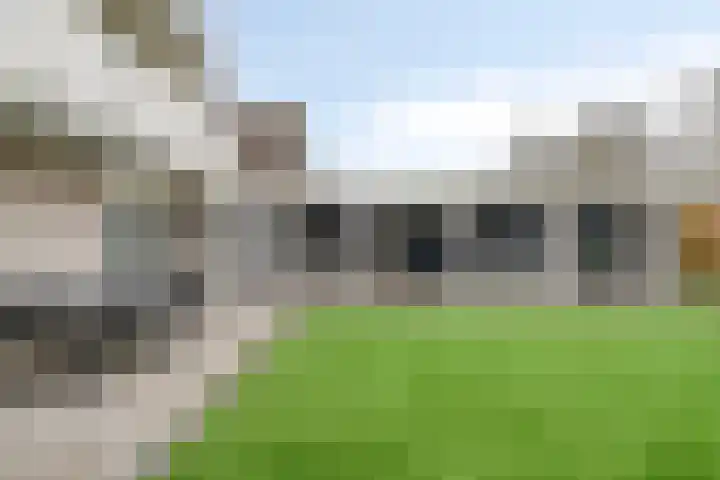 De Ruiter 11 Dronten thumbnail 53