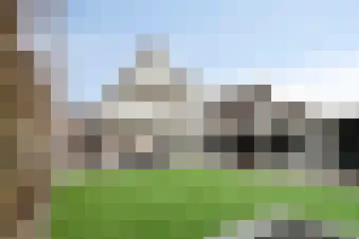 De Ruiter 11 Dronten thumbnail 54