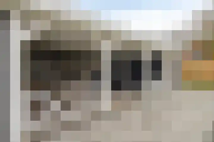 De Ruiter 11 Dronten thumbnail 56