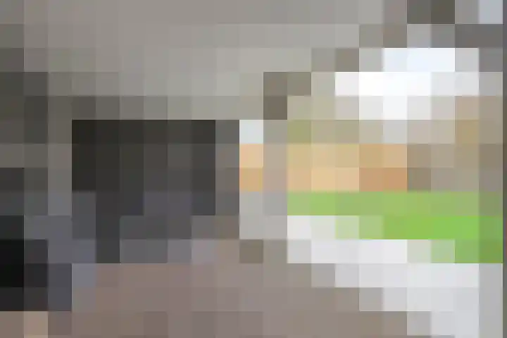 De Ruiter 11 Dronten thumbnail 58