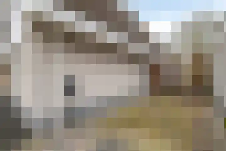 De Ruiter 11 Dronten thumbnail 61