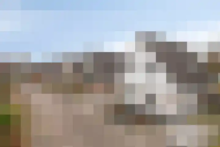 De Ruiter 11 Dronten thumbnail 62