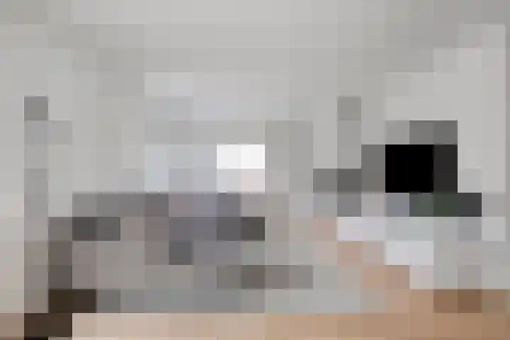 De Ruiter 11 Dronten thumbnail 9