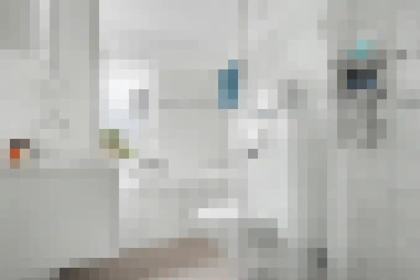 De Ruiter 12 Almelo thumbnail 20