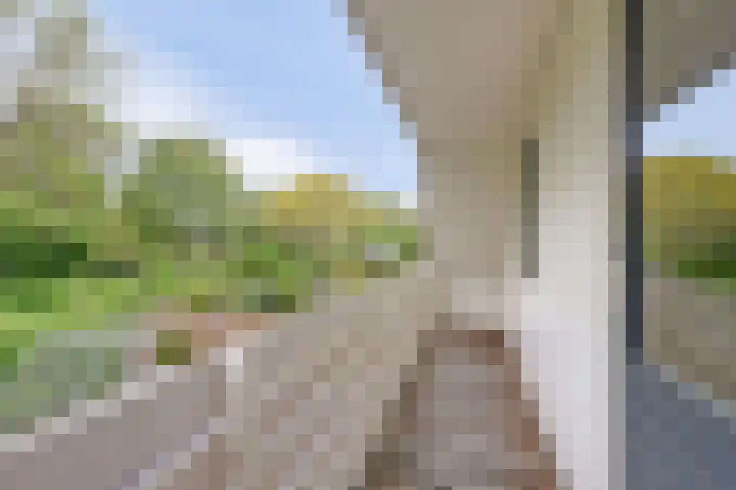 De Ruiter 21 Dronten thumbnail 24