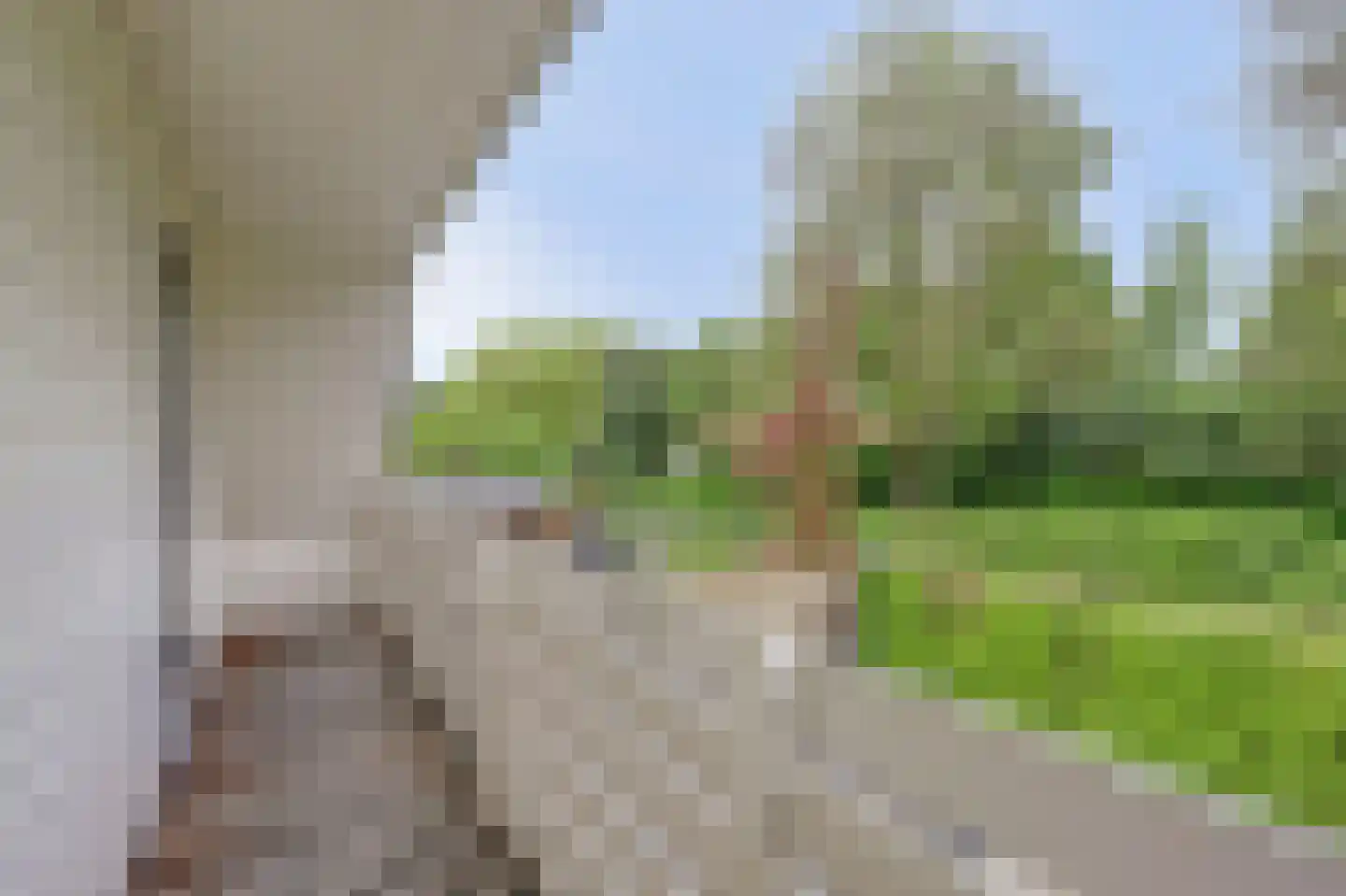 De Ruiter 21 Dronten thumbnail 25