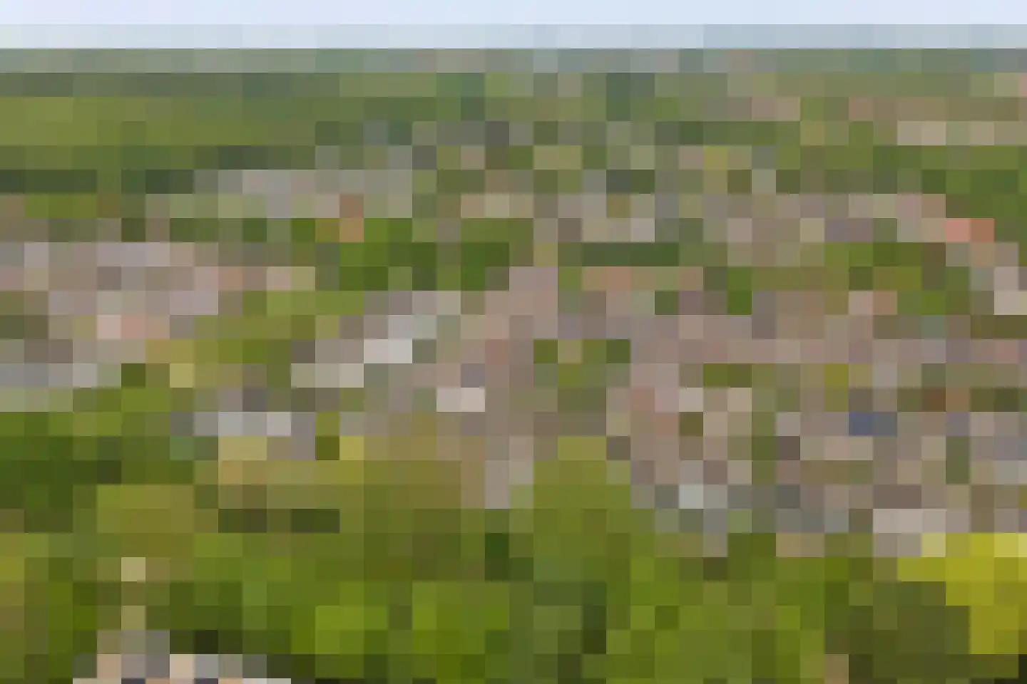 De Ruiter 21 Dronten thumbnail 53