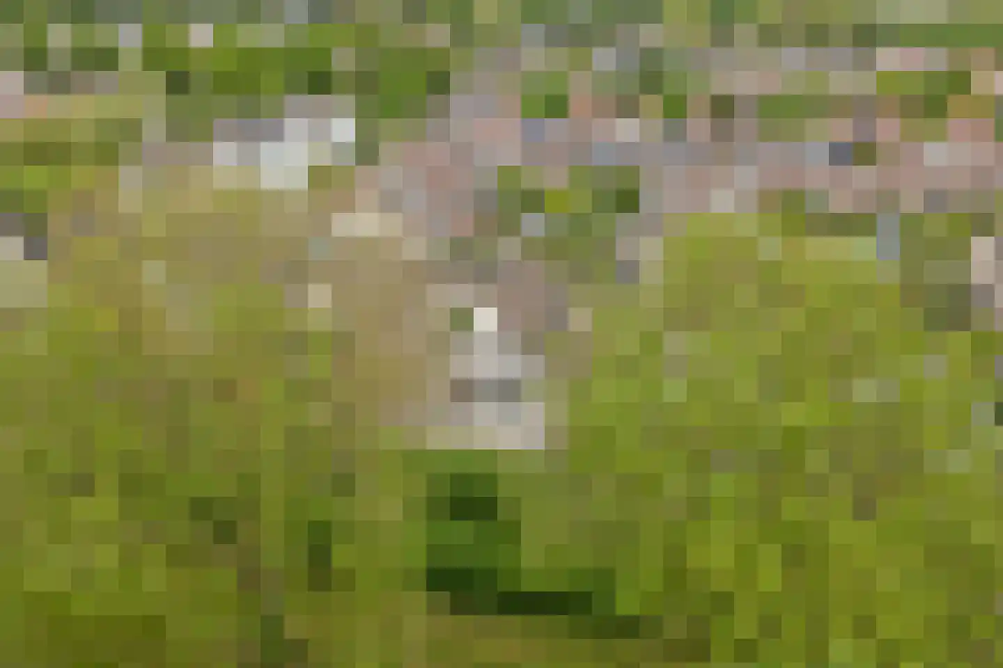De Ruiter 21 Dronten thumbnail 54