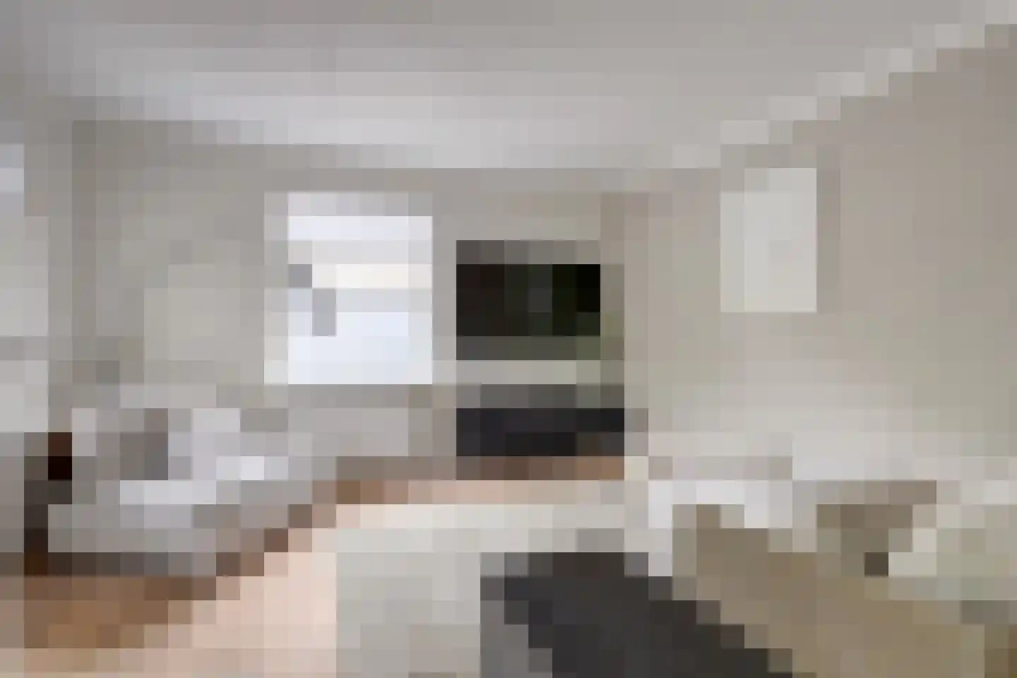 De Ruiter 21 Dronten thumbnail 6