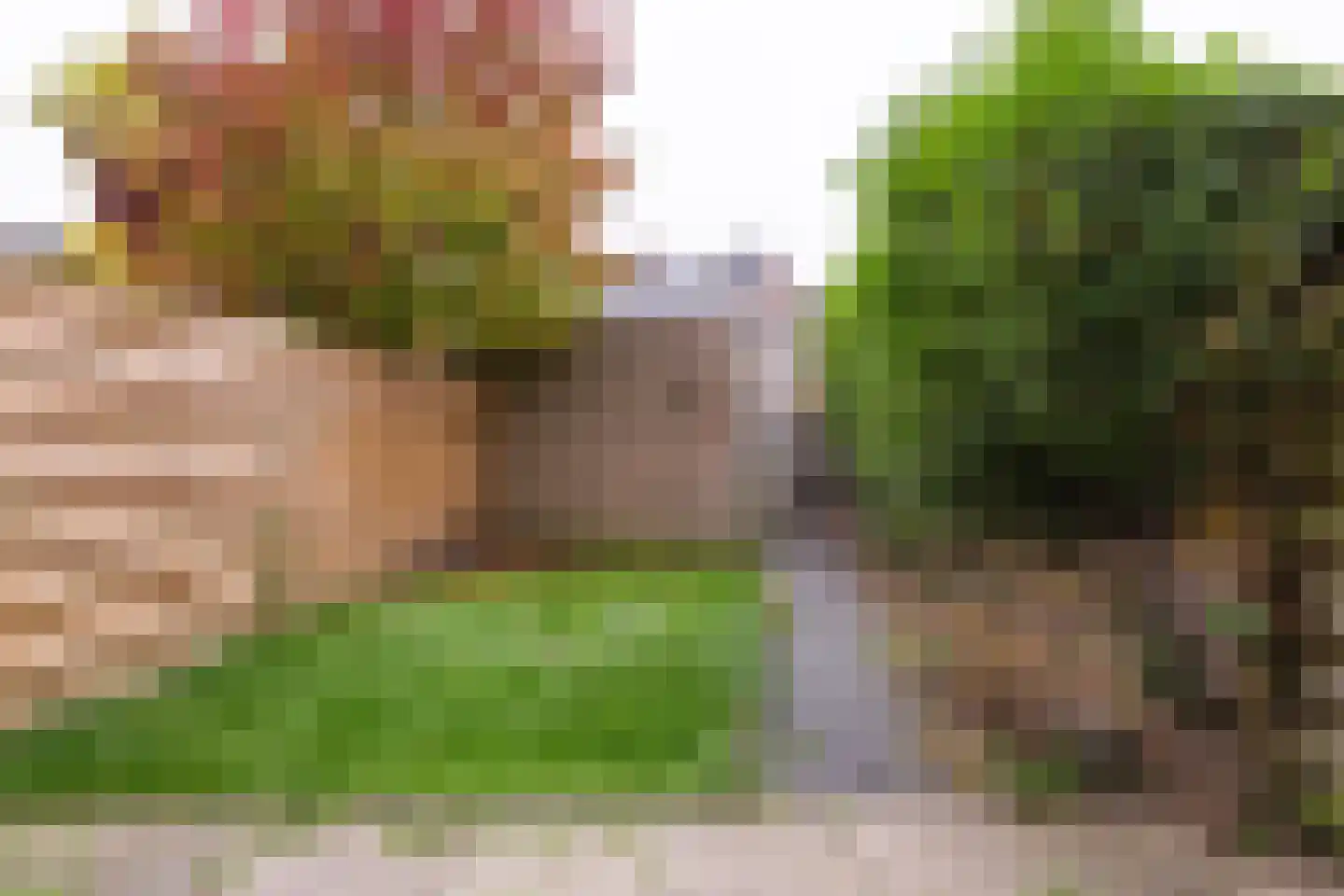 De Ruiterberg 23 Vleuten thumbnail 14
