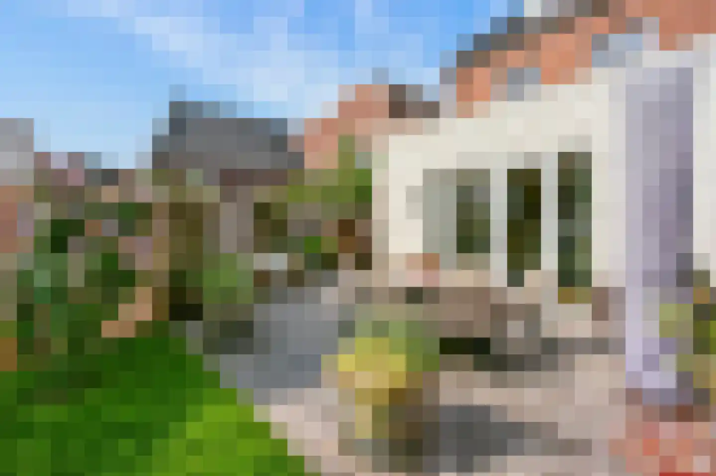 De Ruiterberg 34 Vleuten thumbnail 12