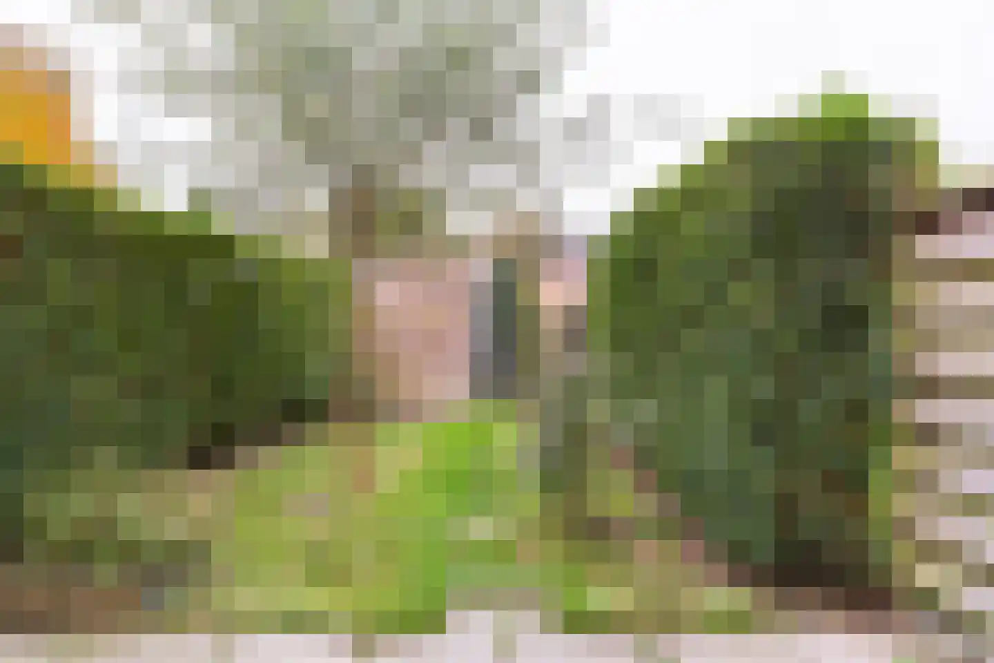 De Ruiterberg 39 Vleuten thumbnail 14