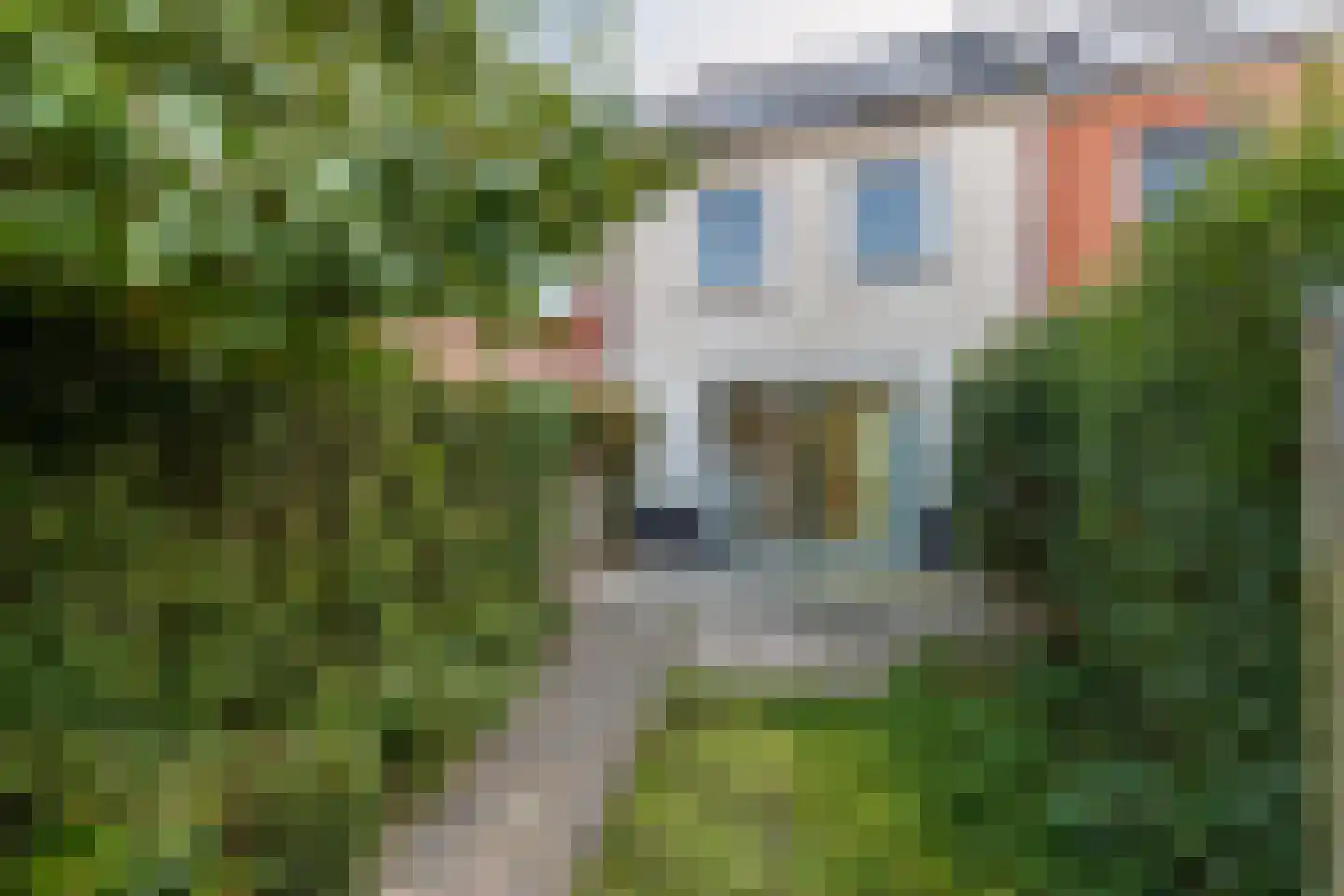 De Ruiterberg 43 Vleuten thumbnail 20