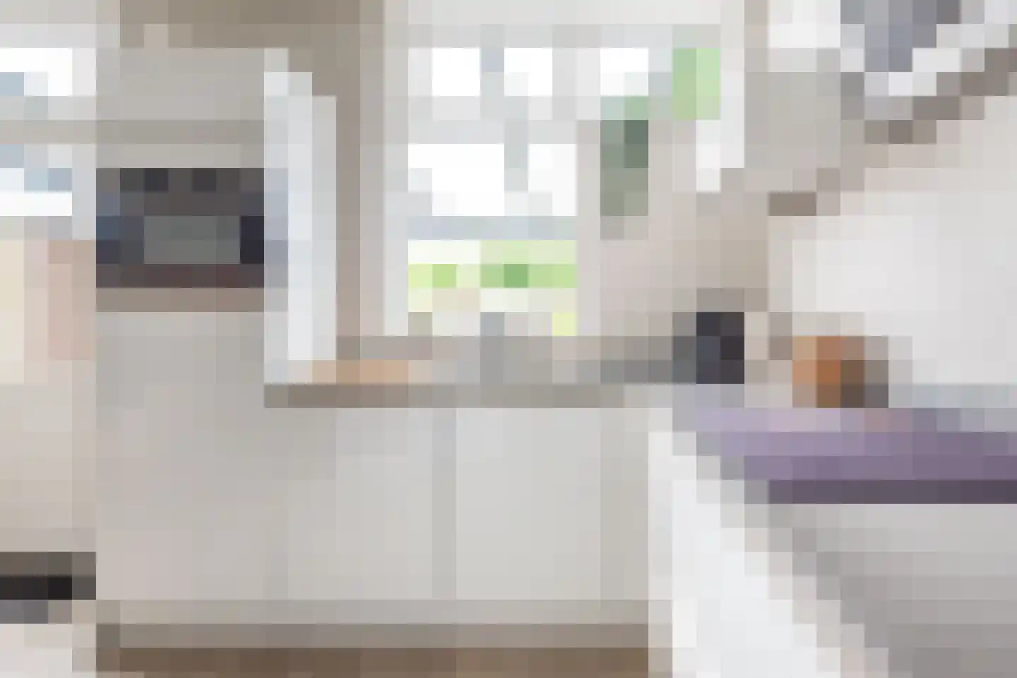 De Ruiterij 45 Dinxperlo thumbnail 15